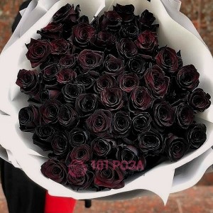 51 черная Роза