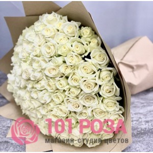 101 белая  Роза