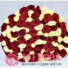 101 Роза красно белый букет "Шехерезада"