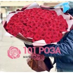101 красная Роза Голландская "Пламя"