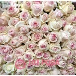 101 нежно розовая Роза Эквадор