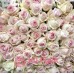 101 нежно розовая Роза Эквадор
