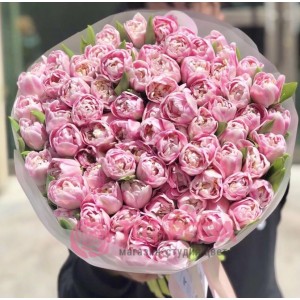 101 Тюльпан нежно розовый пионовидный