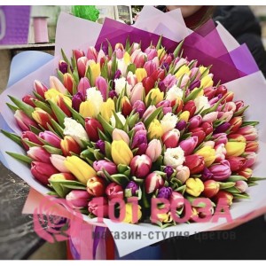 151 Тюльпан разноцветный