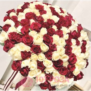 Букет 151 Роза красно белая