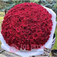 301 красная Роза 70 см "Красная королева"
