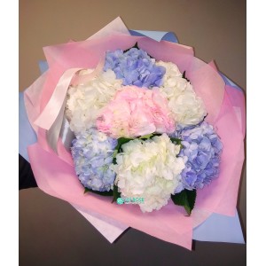Гортензия розовая белая и голубая букет