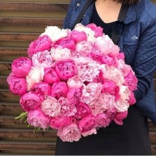 Букет розовых Пионов  "День влюбленных"