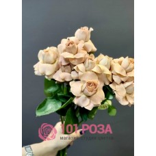 19 Роз Капучино "Королевские Розы"