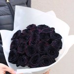 25 черных Роз