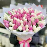 51 Тюльпан "Бело розовый микс"