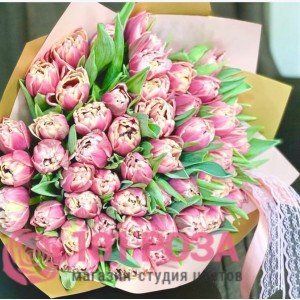 51 Тюльпан розовый пионовидный