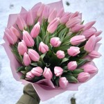 29 нежно розовых Тюльпанов "Северное сияние"