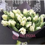 Белые попугайные Тюльпаны "Беладонна"