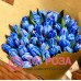 51 Синий Тюльпан