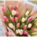 25 Тюльпанов бело розовых