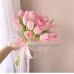 25 Тюльпанов нежно розовых