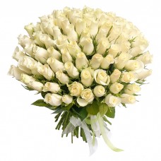 101 Роза ароматная "Белый лебедь" 
