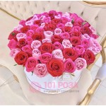101 Роза красно розовая в коробке  "Любимой"