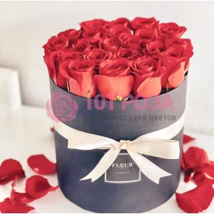 19 Роз красных Голландских в коробке
