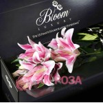 Лилии розовые в дизайнерской коробке "Милая крошка"