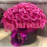 Розовые Розы в черной коробке Пинк Флойд Эквадор "Очарование"
