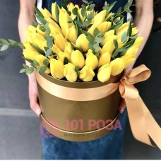 Тюльпаны желтые с Эвкалиптом в коробке