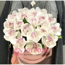 Белые Орхидеи в коробке "Милашка Сью"