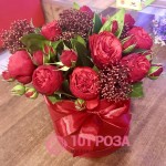 Красные пионовидные Розы в коробке