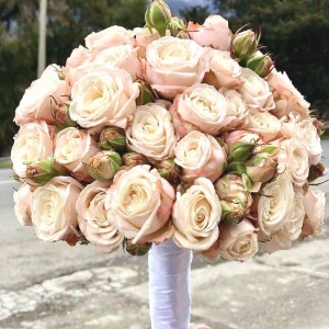 Букет невесты из кремовых кустовых Роз 