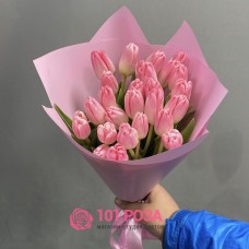 25 Тюльпанов розовых "Алиса"